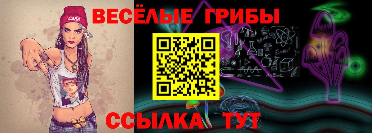 Галлюциногенные грибы Psilocybine cubensis  Вход с VPN  Чернушка 